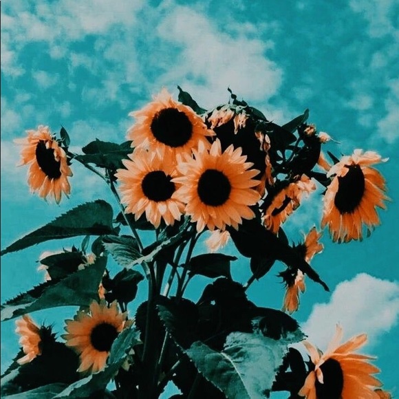 Profile Picture of Lisa marie Stallsworth (@lstallsworth) on Poshmark