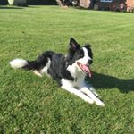 Profile Picture of Bark & Branch Andy Graves (@bark_and_branch_ag) on Instagram