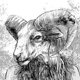 Profile Picture of Kevin Mellon (@blooddarlings) on Twitter