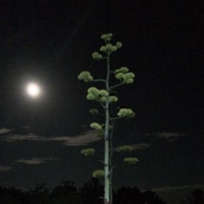 Profile Picture of Travis Messer (@messertr) on Twitter