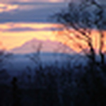 Profile Picture of Steve & Laura Havens (@Havens in AK) on Flickr