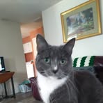 Profile Picture of Janet Veach (Janet Coontz) (@janet.veach.9) on Facebook
