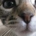 Profile Picture of Robert Stetson (@robert.stetson.374) on Facebook