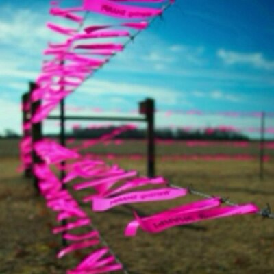 Profile Picture of Jeff (@JeffreySelf) on Twitter