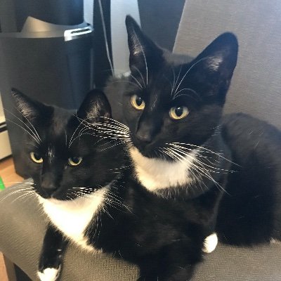 Profile Picture of Matthew Petrich (@matthewpetrich7) on Twitter