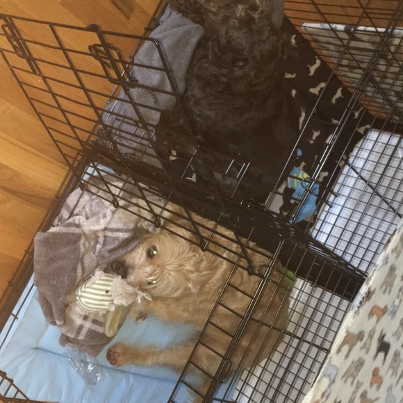 Profile Picture of Ruby Rowe (@rubyjorowe) on Poshmark