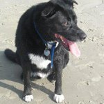 Profile Picture of Tomas Fuentes (@tomas3333) on Instagram