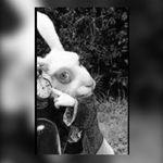 Profile Picture of Cassandra Blanco (@cassandrablanco99) on Instagram