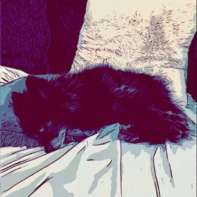 Profile Picture of Nicholas Jenky (@jenks1331) on Pinterest