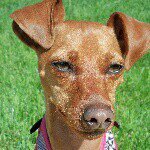 Profile Picture of Angela Kramer Brownawell (@brownawella) on Instagram