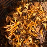 Profile Picture of Carlos Marmolejo (@c_m_86) on Instagram