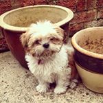 Profile Picture of Christopher Emslie (@christopheremslie) on Instagram