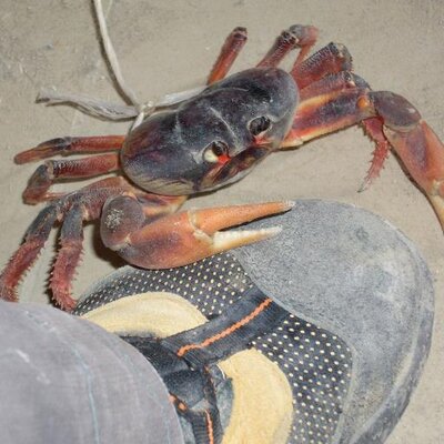 Profile Picture of MIGUEL AVILES (@Miguelaviles63) on Twitter