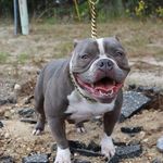 Profile Picture of John K Series Richardson (@johnys_exotics) on Instagram