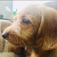 Profile Picture of James Paul Newcomer (@james-paul-newcomer) on Quora