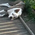 Profile Picture of Glenda Doris Halpin Butler (@halpinbutler) on Instagram