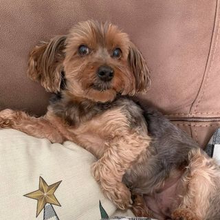 Profile Picture of David Pert (@pertfection) on Instagram