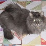 Profile Picture of Leonie Agnew Davis (@leonieagnewdavis) on Instagram