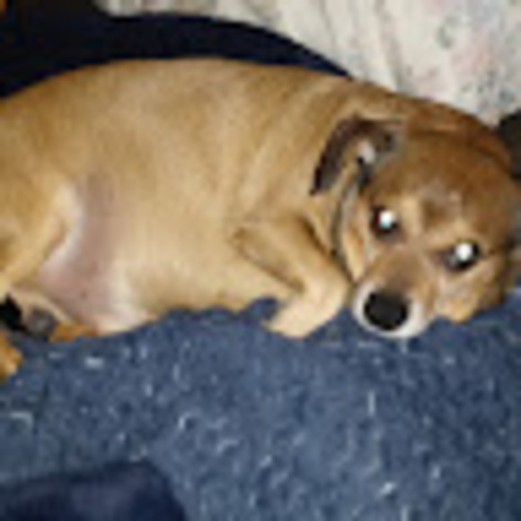 Profile Picture of Robert Edwards (@robertedward209) on Poshmark