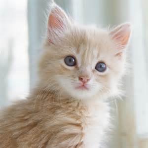 Profile Picture of Hazim (@Dziema_Hazim) on Twitter