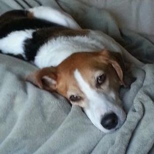 Profile Picture of Aimee McMahon (@d636489d5b8e48d) on Twitter