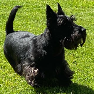 Profile Picture of Sande Smith (@sande.smith.3110) on Facebook