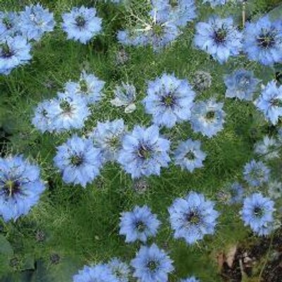 Profile Picture of Debbie Johnston (@debbie200823) on Twitter