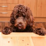 Profile Picture of Kevin Haggart (@kevinhaggart) on Facebook