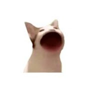 Profile Picture of CADEN YONG BAO ZHANG Moe (@CADENYONGBAOZHANGMoe) on Youtube