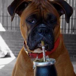 Profile Picture of RICHARD BARRAGAN (@50_richi) on Twitter