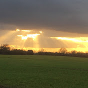 Profile Picture of Andrew Austin (@ajadrew) on Youtube