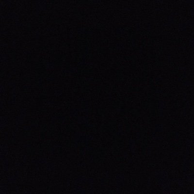Profile Picture of LsAlbn (@AlbinoLisa2) on Twitter