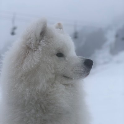 Profile Picture of Justin Egge (@Justinegge) on Twitter