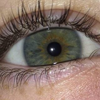 Profile Picture of Andrew Deitering (@Andrew-Deitering) on Facebook