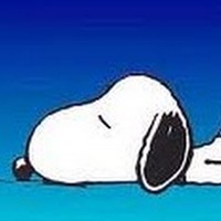 Profile Picture of Isabelle Rodrigues (@isabelle-rodrigues) on Quora