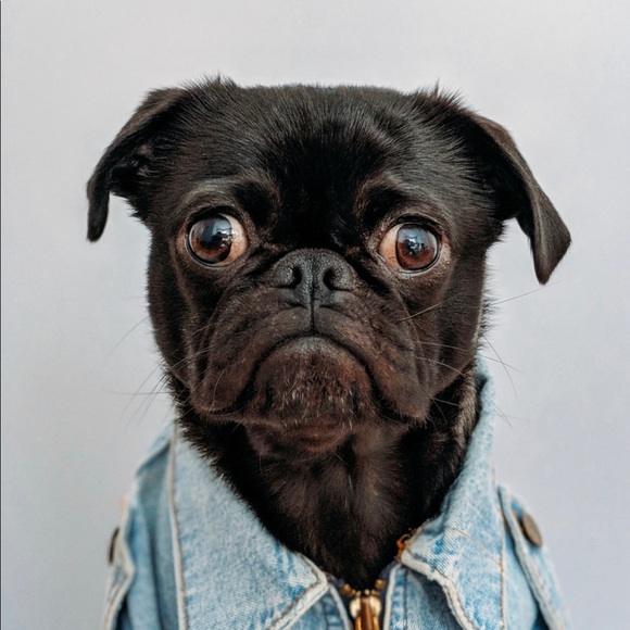 Profile Picture of Alexander Abboud (@alexanderbeast) on Poshmark