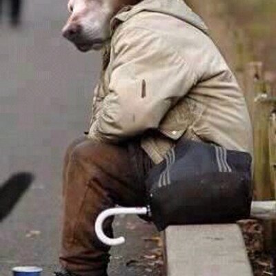 Profile Picture of Chris.benneth (@cbalow) on Twitter