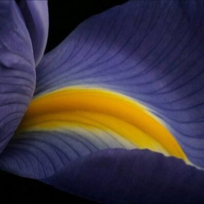 Profile Picture of Erica Mancuso (@mancue0405) on Twitter