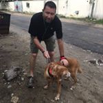 Profile Picture of Kelvin Perkins (@kelvpekki) on Instagram