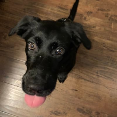 Jakob Perrault - Twitter Profile Picture of Jakob Perrault (@JakobPerrault) on Twitter