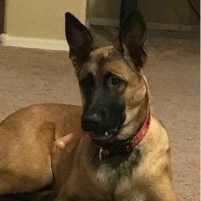 Profile Picture of Dominique Gilbert (@SBSOret) on Twitter