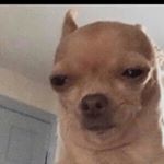 Profile Picture of Owen Perez (@owen_perez_05) on Instagram