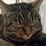 Profile Picture of Jodie Sharp (@jodie.sharp.165) on Instagram