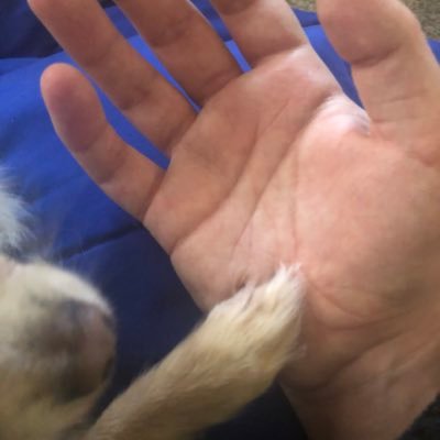 Profile Picture of Todd Newton (@ToddNewton14) on Twitter
