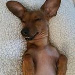 Profile Picture of Brandy Willis Saylors (@brandywillissaylors) on Instagram