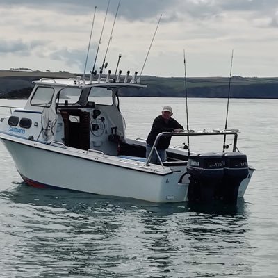 Profile Picture of David Harries OBE (@DHFishguard) on Twitter