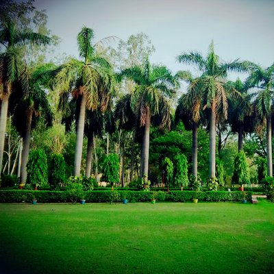 Profile Picture of Priya Upadhyay (@priyaupadhyay2) on Twitter