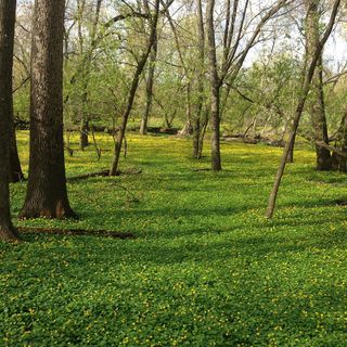 Profile Picture of Jeff Murrow (@jeff.murrow.1) on Facebook