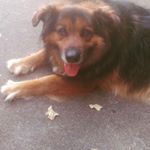 Profile Picture of S. Grant Slater (@sslater24) on Instagram