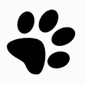 Profile Picture of Lisotto VB (@lisottovb2805) on Youtube